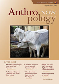 Anthropology Now Cover