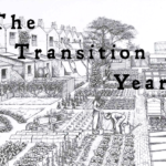 The Transition Year Cover