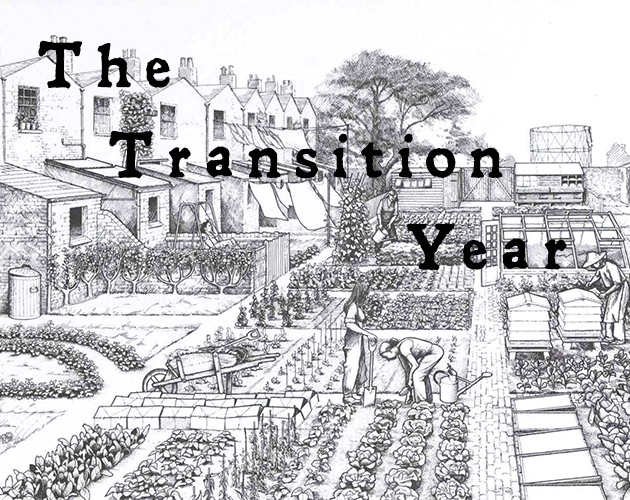 The Transition Year Cover